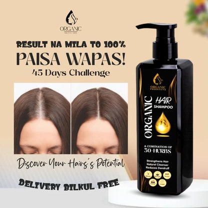 Organic Hair Shampoo